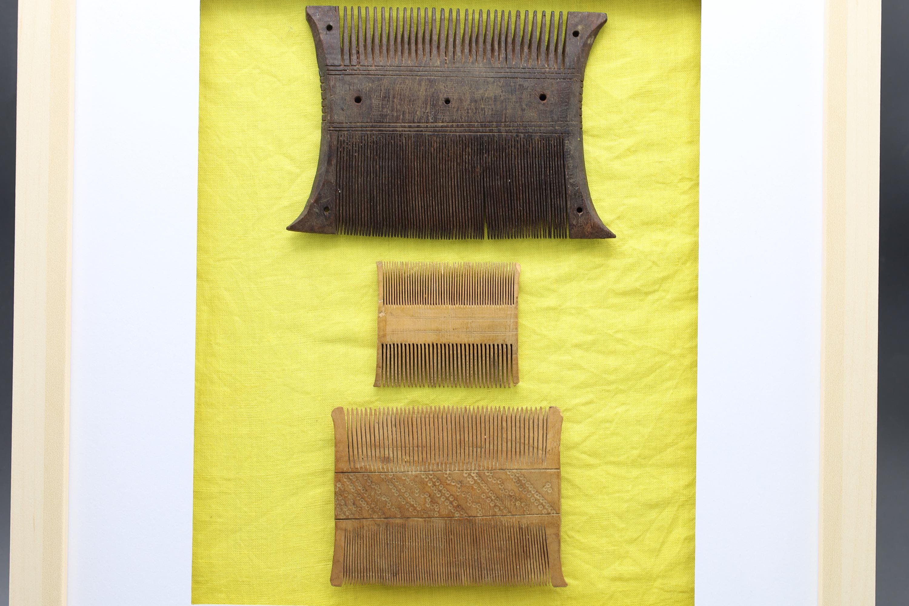 Colonial India, Circa 1920s Hand Carved Wood Combs From Rajasthan Gipsy Tribesmen, Kalbelia, Framed And Read To Hand On Wall, Bathroom Decor