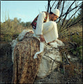 The Magic Horse, Burnt Forest At The Holy Mount Mar Eilas, Har HaKarmel Israel, Analogue Hasselblad Color Film Photography Prints
