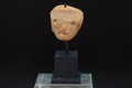 Ancient Huastec Head Figure, Circa 300 AD Panuco River Area Style, Veracruz Pre-Columbian Ceramic Idol Figure On Stand, PreHispanic Mexico